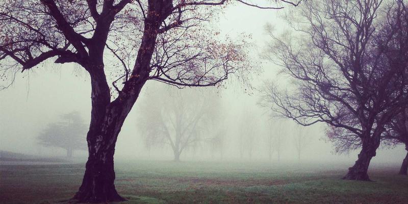 VB新闻13：当复古新闻遇上数字浪潮，经典报道如何焕发新生？