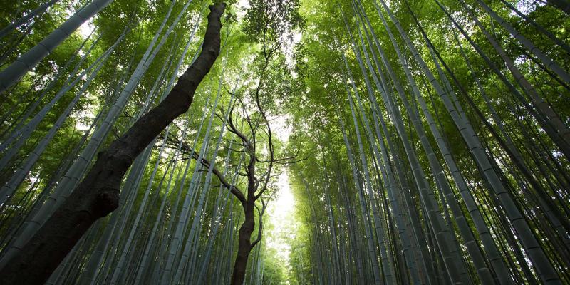 VB新闻41：在复古浪潮中重寻新闻的温度与深度