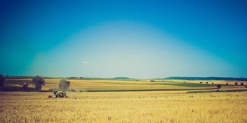 VB新闻49:在信息门户时代,重温复古新闻的独特价值与魅力