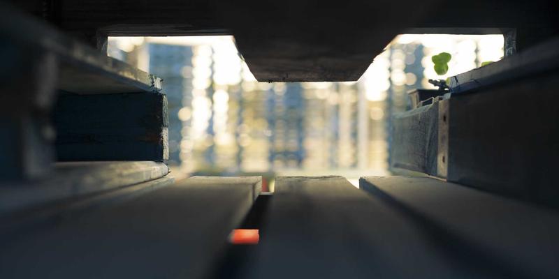 VB新闻95：信息门户如何重塑现代新闻资讯生态