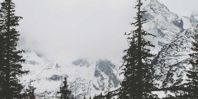 VB新闻：信息门户如何通过深度行业分析重塑新闻资讯价值