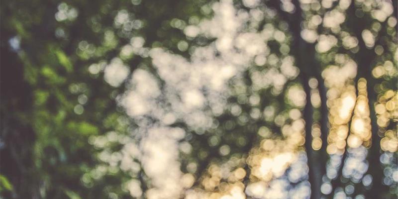 VB新闻平台架构演进：从单体应用到微服务拆分的容器化实践