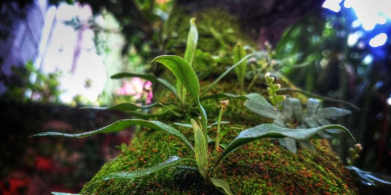 VB新闻技巧：掌握行业分析与资讯整合，打造深度新闻报道