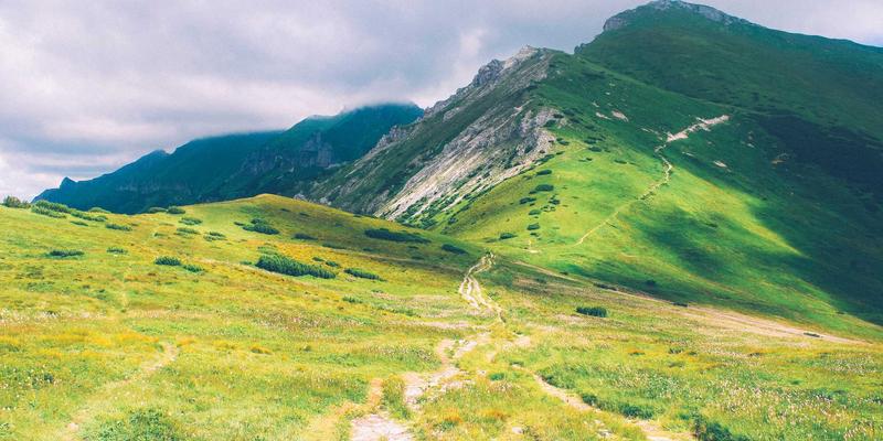 VB新闻案例分析:信息门户如何通过行业分析重塑竞争力