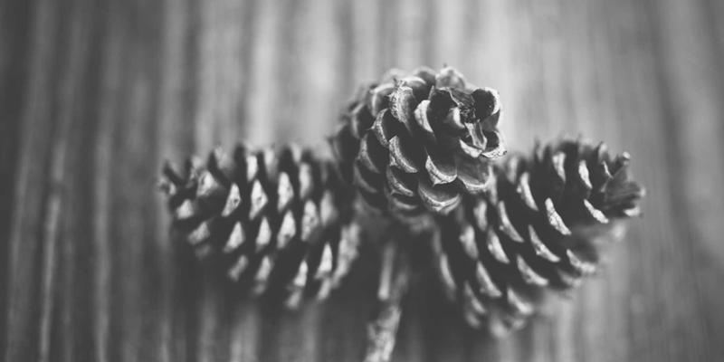 VB新闻系统微服务架构改造：从单体应用到容器化部署的迁移路径与行业分析